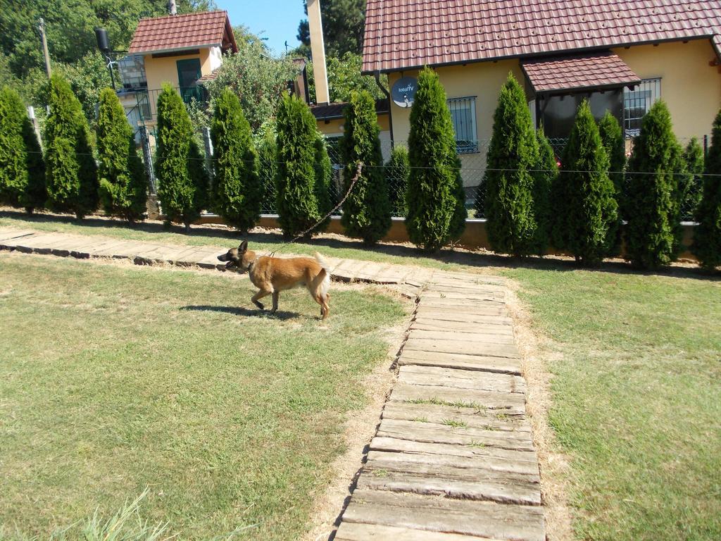 Kuca Za Odmor "Karalic" Bed and Breakfast Ležimir Exteriör bild